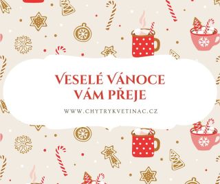 Všude kolem nás finišují přípravy a těšení se na Vánoce a u nás to není jinak. Proto, než si začneme plnými doušky užívat...