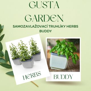 Koupili jste si bylinky v obchodě a teď čekáte, kdy vám uschnou? 😅 Nebojte, nejste sami. Většina z nás skončila s...